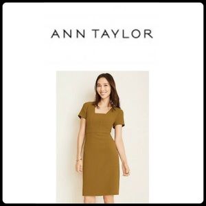 ANN TAYLOR Sheath Dress in Warm Honey || 8